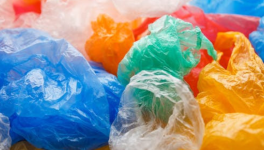 Trump and Assange, Garbage and Bullshit ...