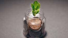 Make "monnaie locale" again !