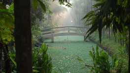 Des Clowns à Ushagram