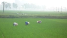 Quelques news en bref / Un week-end à la campagne