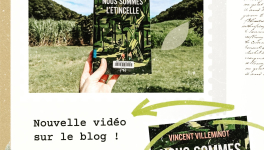 Book'n'furious : Nous sommes l'étincelle - Vincent Villeminot