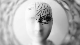 Le Reset de 17 Minutes : Comment Recâbler votre Cerveau pour une Concentration Infaillible