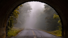 Mexican Gothic de Sylvia Moreno-Garcia