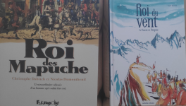 Antoine de Tounens en majesté