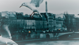 Entrée des artistes