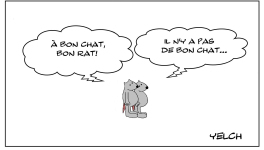 Le bon rat mais pas le bon chat...