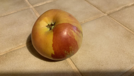 Une pomme créative