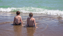 Avril: Amitié furtive