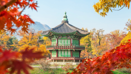 Kdrama : découverte