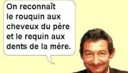 L'essence de l'humour est la sensibilité !