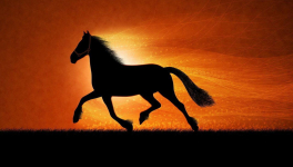 Le Cheval et l'Enfant