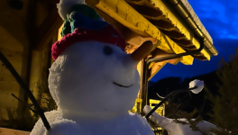 Offrez du sens, pas un écran 🎄