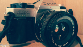 "Recherche Venise..."