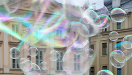 Les petites annonces