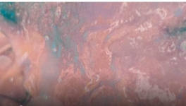 Chronique annoncée d’un agenda pour Moutons ou Licornes