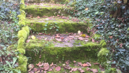 L’amour des trois oranges