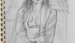 Carnets Dessins jeux de couleurs et d'ombres : 1992