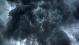 Freedom of Contract (excerpt)