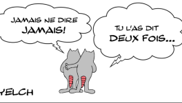 JAMAIS NE DIRE JAMAIS