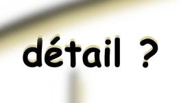 un détail commençait cependant à les turlupiner