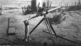 22 La revanche des chats