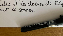 Sylvie (Paris)