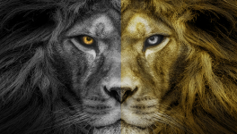 17. La Légende de Nil - Jean-Marc Ferry - Livre I - Les Diamants de Sarel-Jad - Chapitre VII, 3