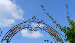 LA SALAMANDRE ET LE SEL CENTRAL