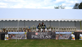 NORTHEN REGIONAL DOBERMANN SHOW - FRANCE
