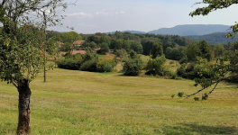 Exercice d'écriture : relever le défi de Vincent Martin, 5 mots imposés (en  gras dans le texte)