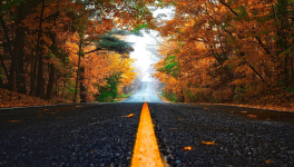 Ma plume part sur les routes