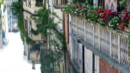      11- Padoue (1537-1543)