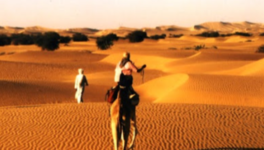 Poésie : Un désir nommé désert