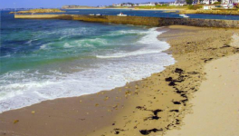 Chapitre 29 La découverte du passé de Valérie