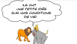 le confinement réjouit les animaux des zoos