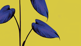 REGINE INSIDE Autodeterminarsi con Gentilezza