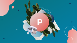 Communiqué de Presse - Décembre 2020