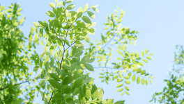 Episode 2 - Un si long chemin