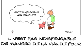 Il n'est pas indispensable de manger de la viande