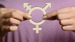 La complétude de la bisexualité