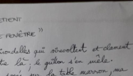 Virginie(Chartrettes)