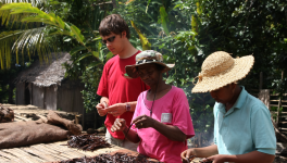 L'Épopée Oubliée de la Vanille : De la Gousse Noire Sacrée du Mexique à l'Arôme Bourbon de Madagascar