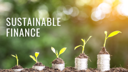 Sustainable Finance Lessons and Best Practices