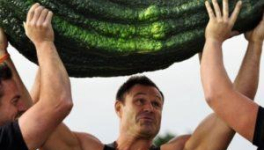 Le cornichon français reprend de la couleur