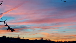 Ciel