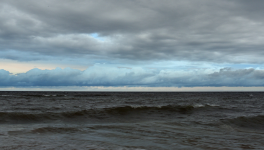 La solitude numérique