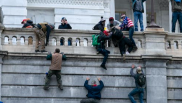 It's Justice Business . Stop.