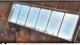 Le Lion et le Chaton... Une fable de Luce !