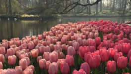 𝘌𝘵 𝘴𝘪 𝘰𝘯 𝘴𝘦 𝘵𝘳𝘰𝘮𝘱𝘢𝘪𝘵 𝘴𝘶𝘳 𝘭𝘦 𝘴𝘦𝘯𝘴 𝘥𝘦 𝘭𝘢 𝘷𝘪𝘦 ?