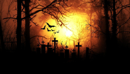 Cauchemar ou réalité ? 